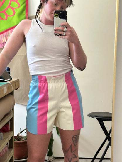 Trans flag Shorts Sample